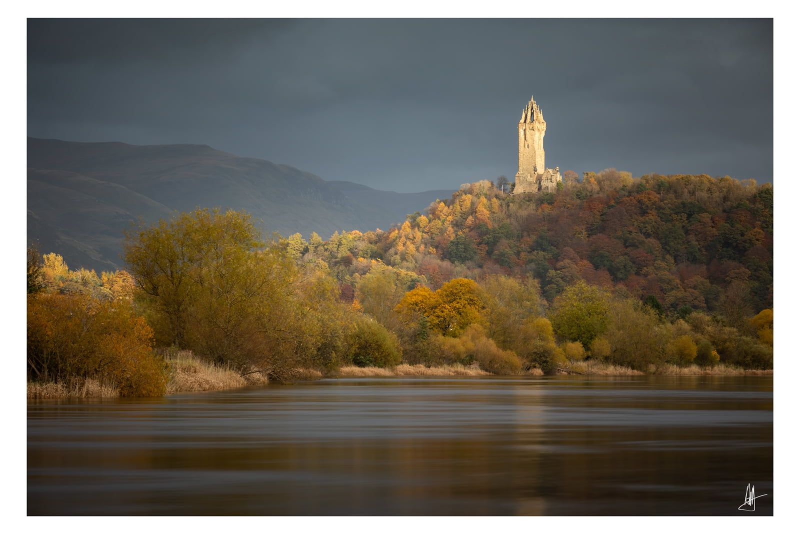 Wallace in the Spotlight - Image 3