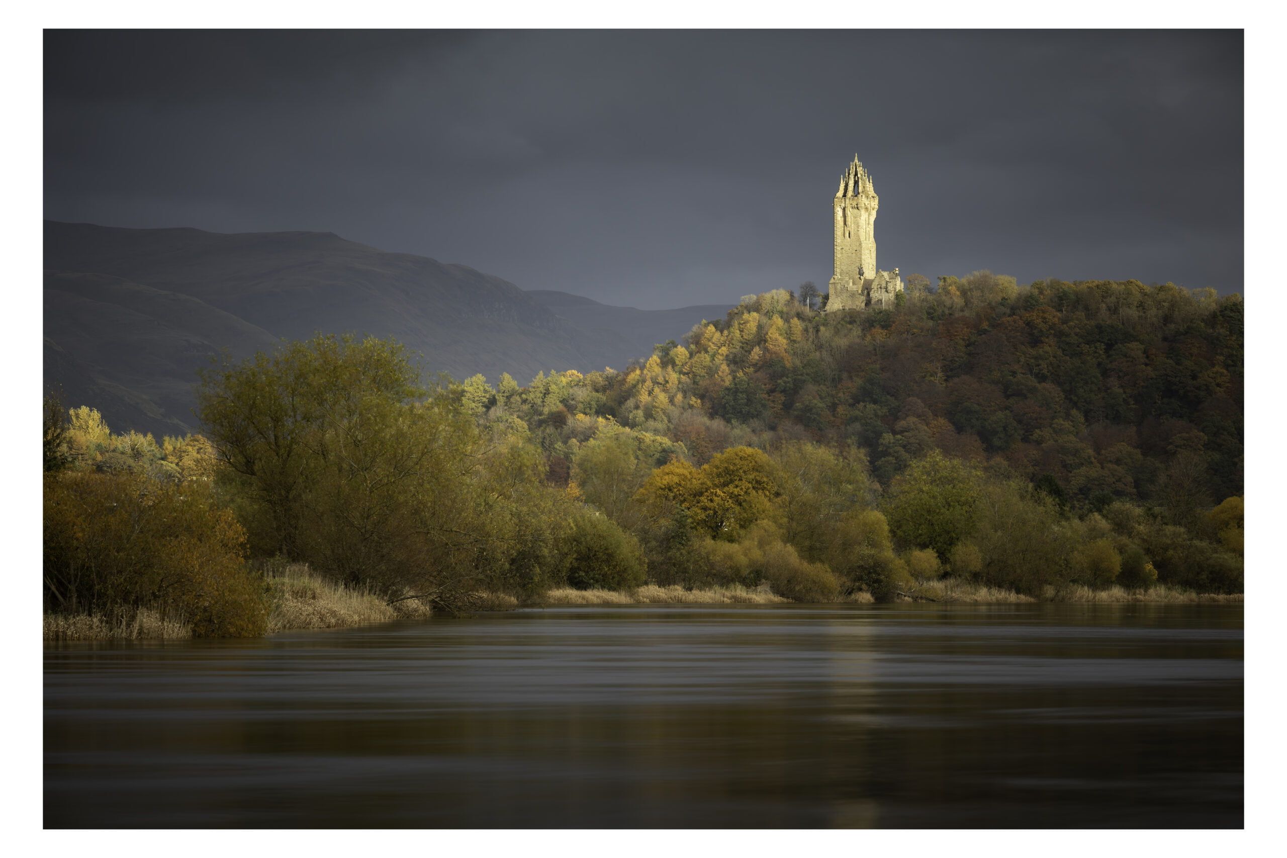 Wallace in the Spotlight - Image 2