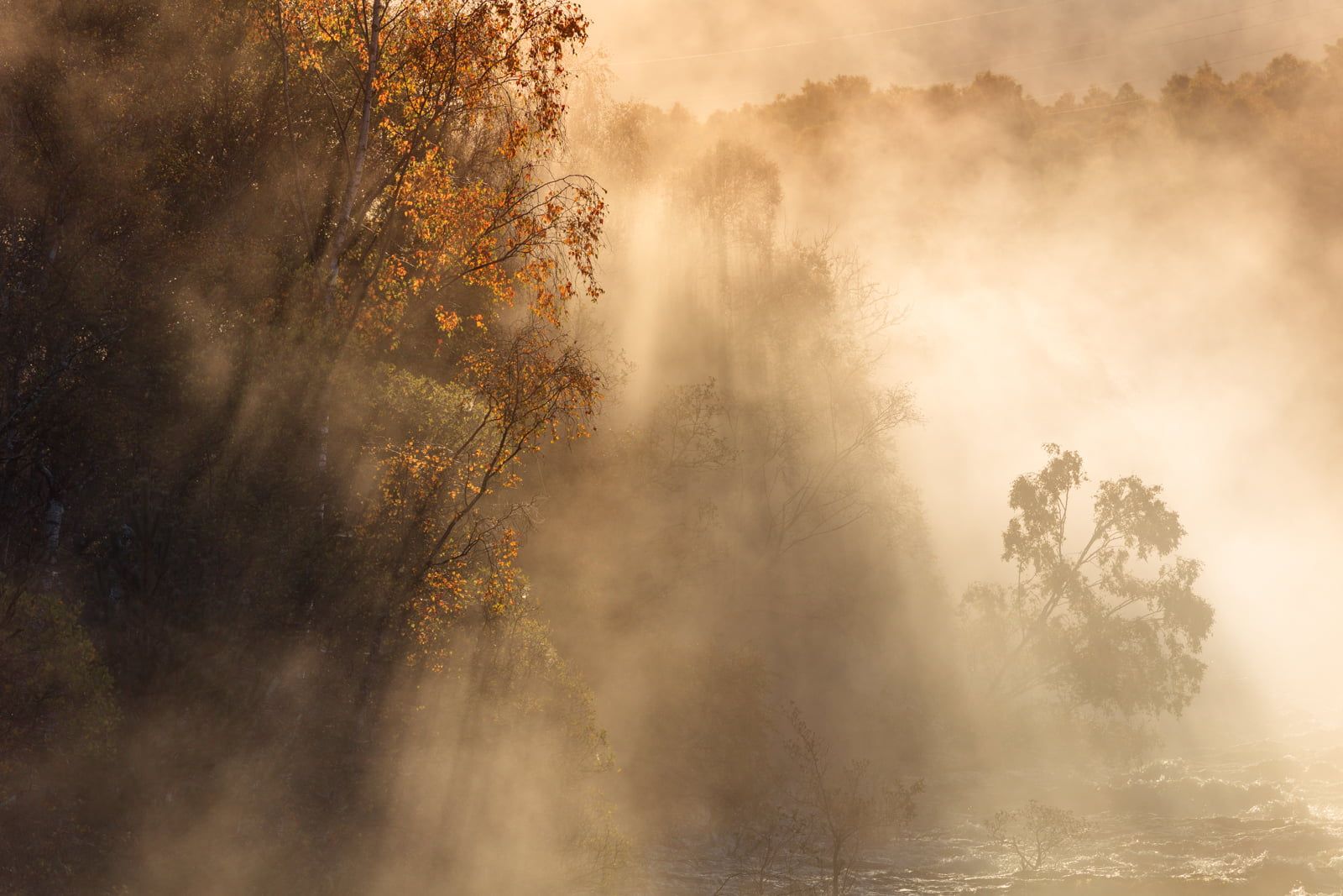Perthshire - Loch Tummel - Image 2