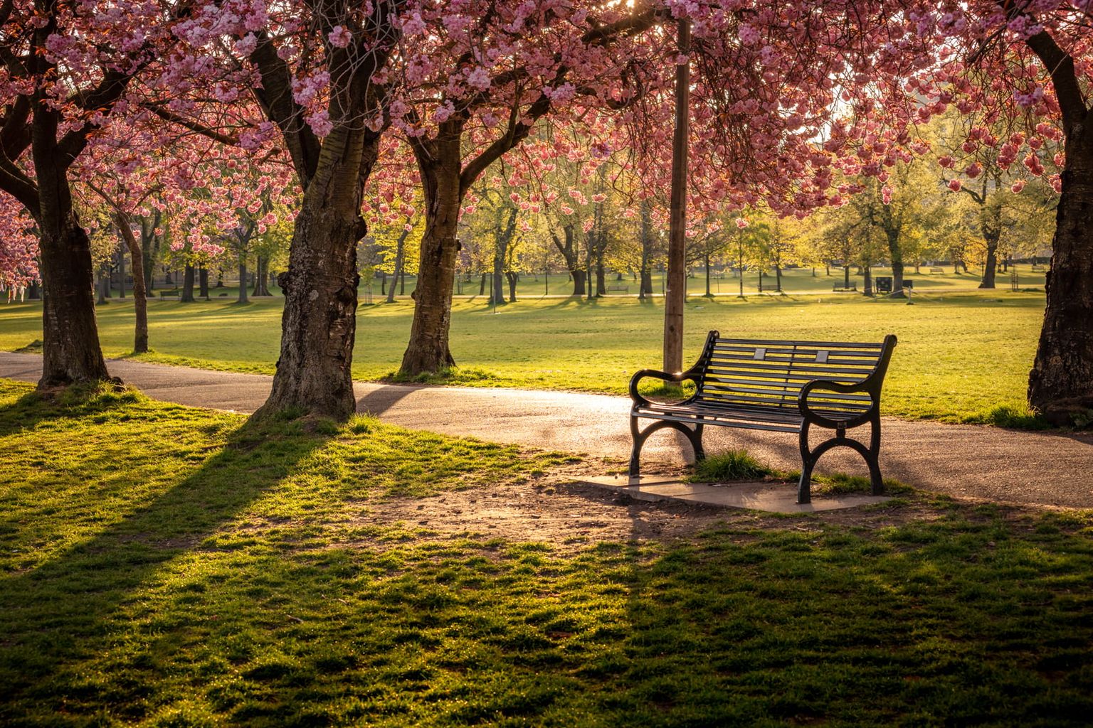 Edinburgh - Spring in the Meadows - Adam Bulley Photographer & Videographer